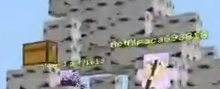 岩盤-これらの2人のクロスチーマーを禁止してください_ CubeCraftゲーム - Google Chrome 2022_02_23 22_43_35 (2).png