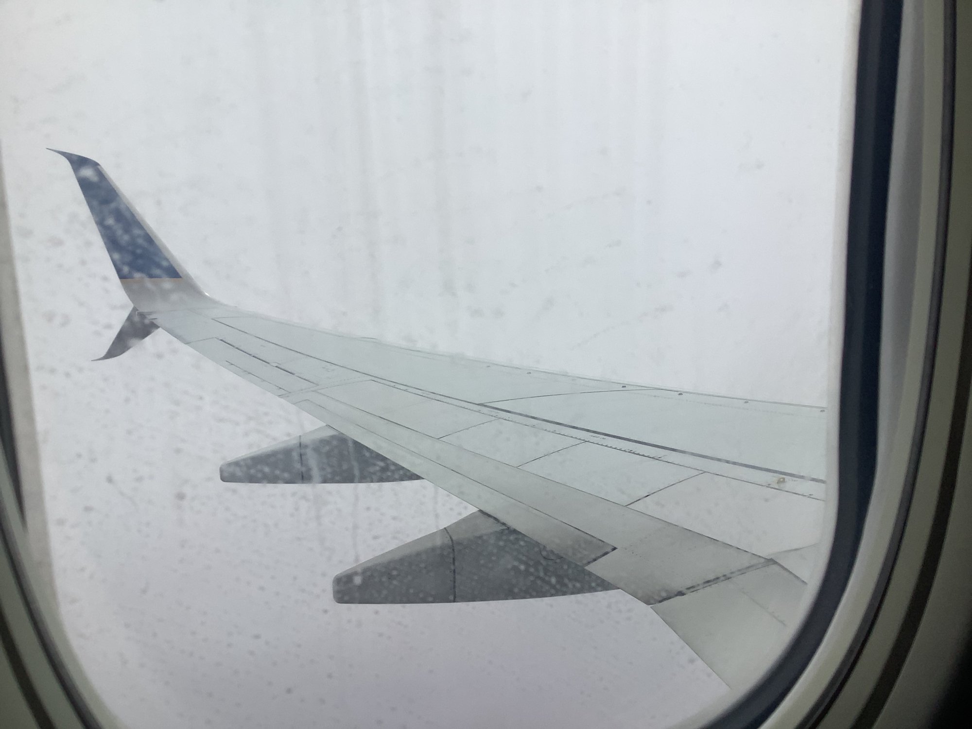 05E08016-85D3-4F7E-A138-E082AE9667A7.jpeg