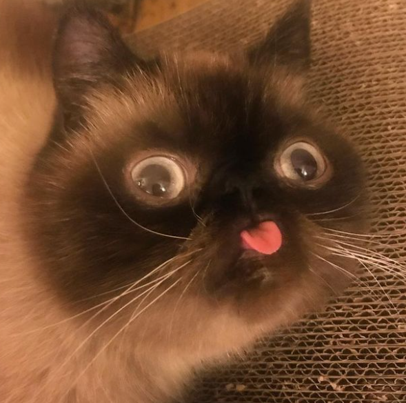 1610995952322.png