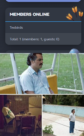 1612975159958.png