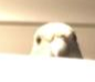 1613947561191.png