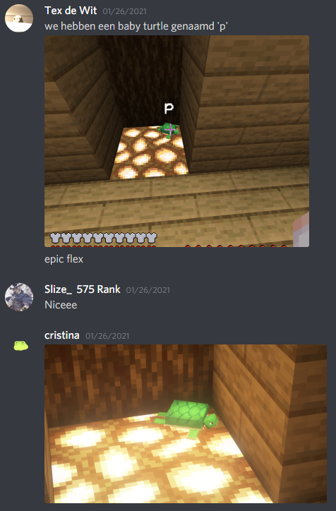 1614392295264.png