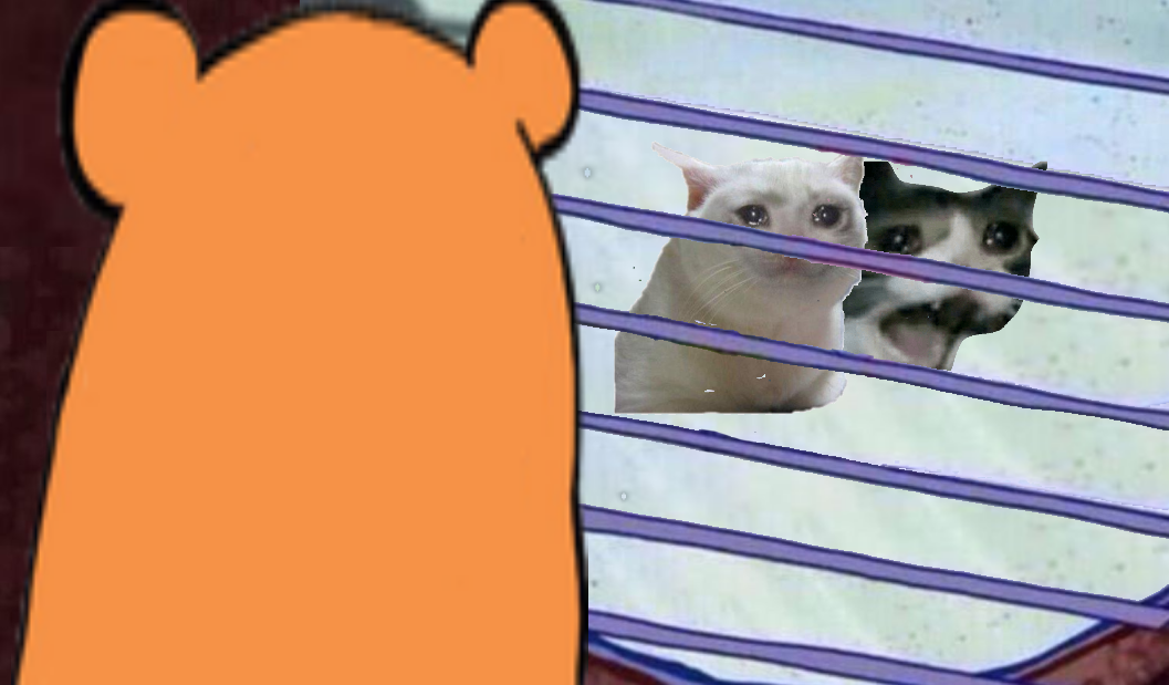 1615067051075.png