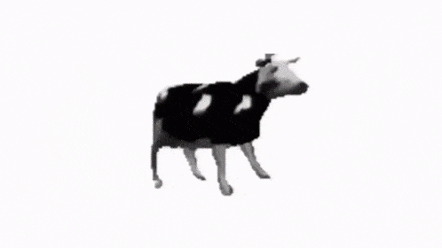 1616139528941.png