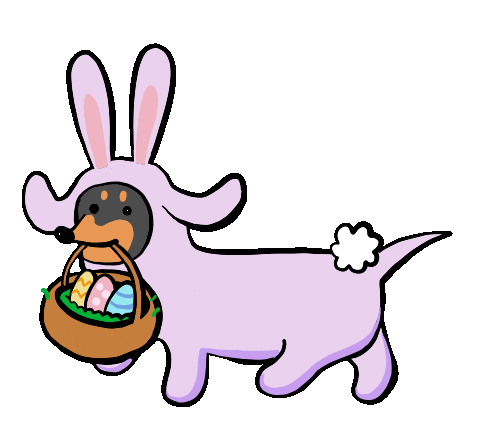 1616666875_105755_gif-url.gif