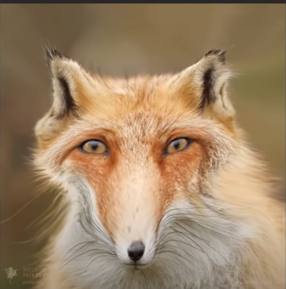 1621794026159.png