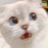 1622390797167.png