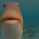 1633517771788.png