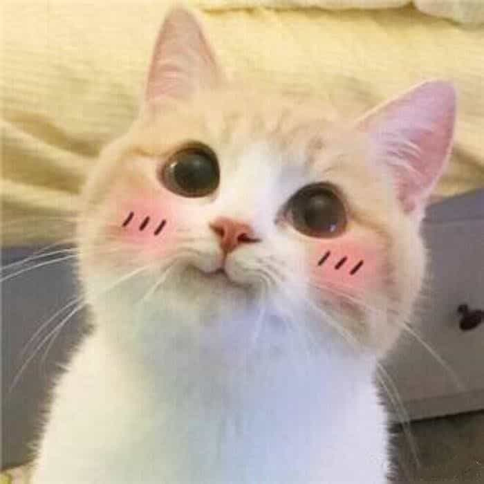 1648283739767.png