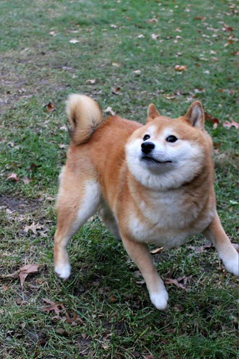 1659057766453.png