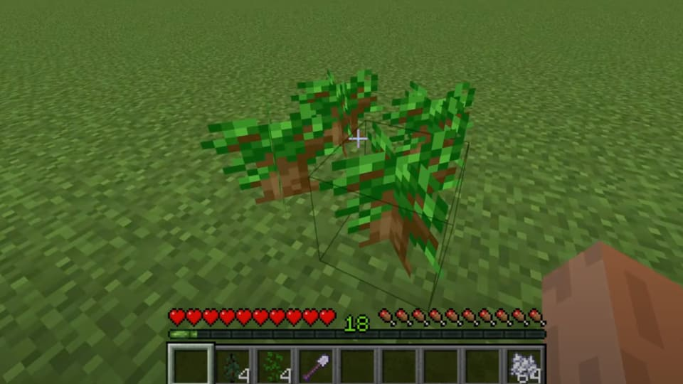 Dark Oak Sapling Problem CubeCraft Games