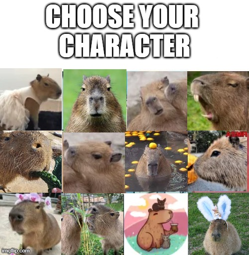 1680811909418.png