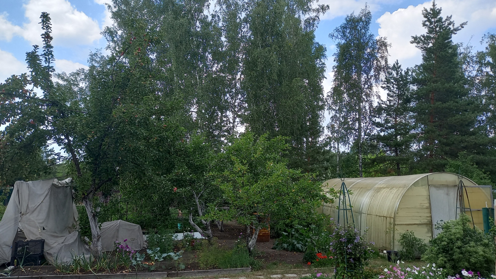 1690542987038.jpeg