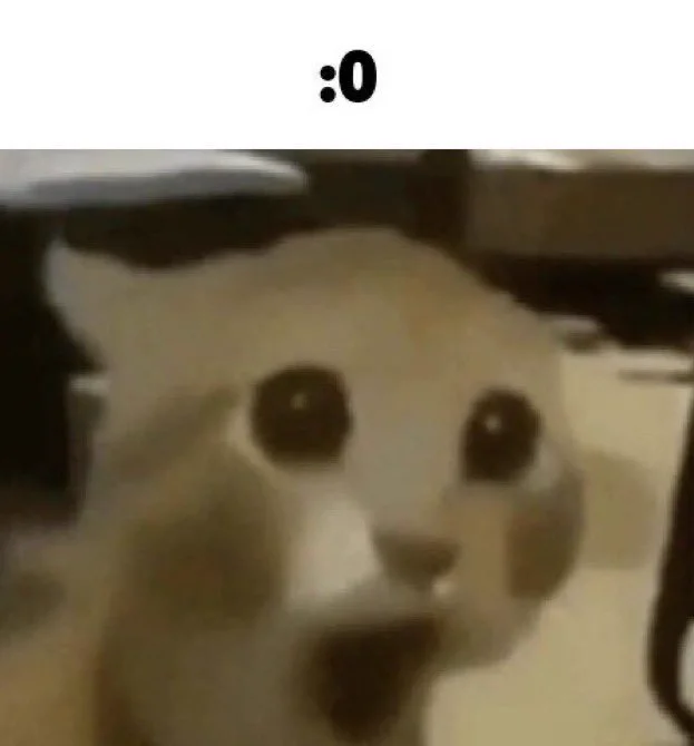 1694106556091.png