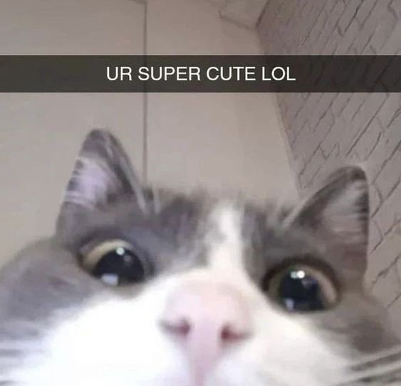 1697215219691.png
