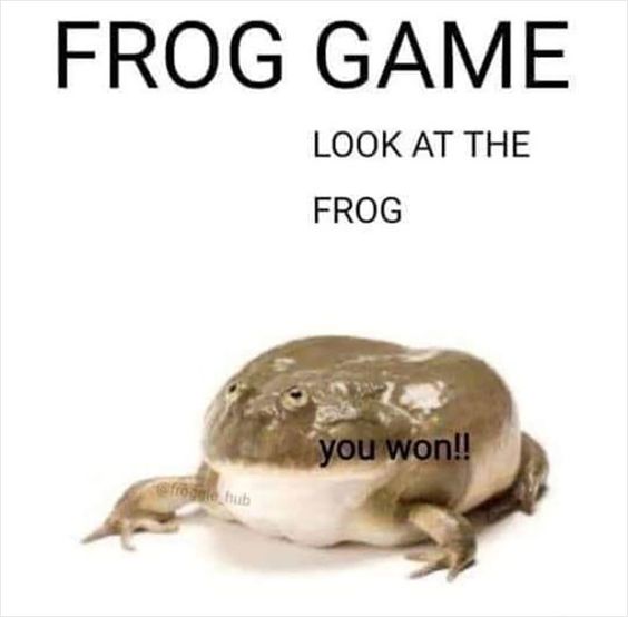 1704654846802.jpeg