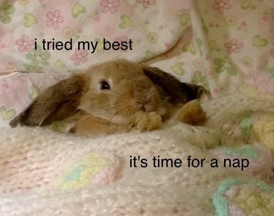 1704818490972.jpeg