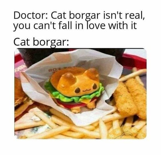 1705138362776.jpeg