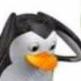 1706013154369.jpeg