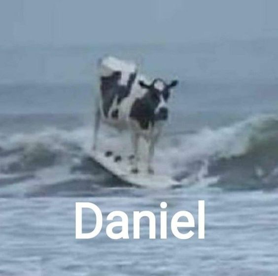 1707296307169.jpeg
