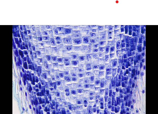 1707325806676.png