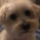 1711629483569.png