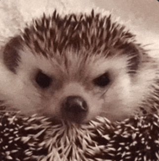 1717745517157.png