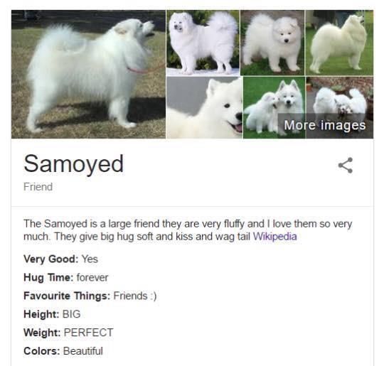 1763985789658.jpeg