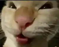 muhehehehe