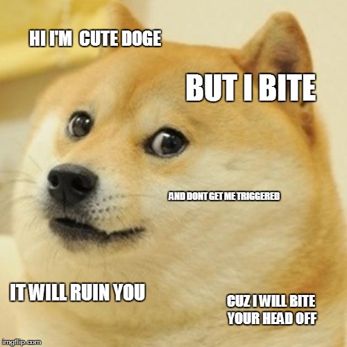 1d700z.jpg