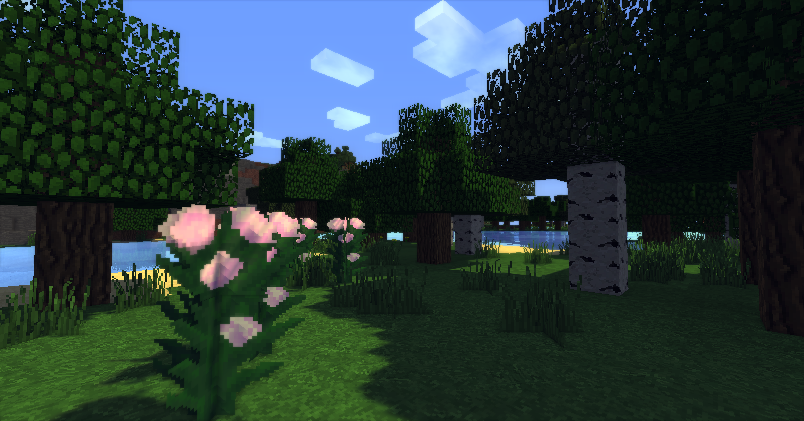 2015-12-15_19.04.15 - Copy.png