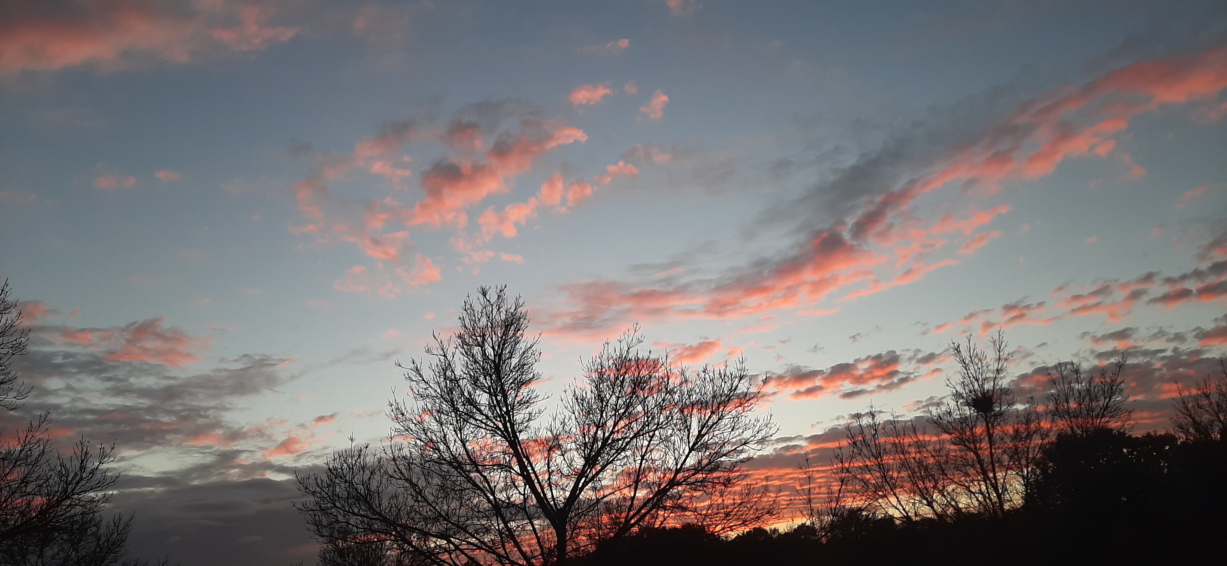 20201102_171902.jpg