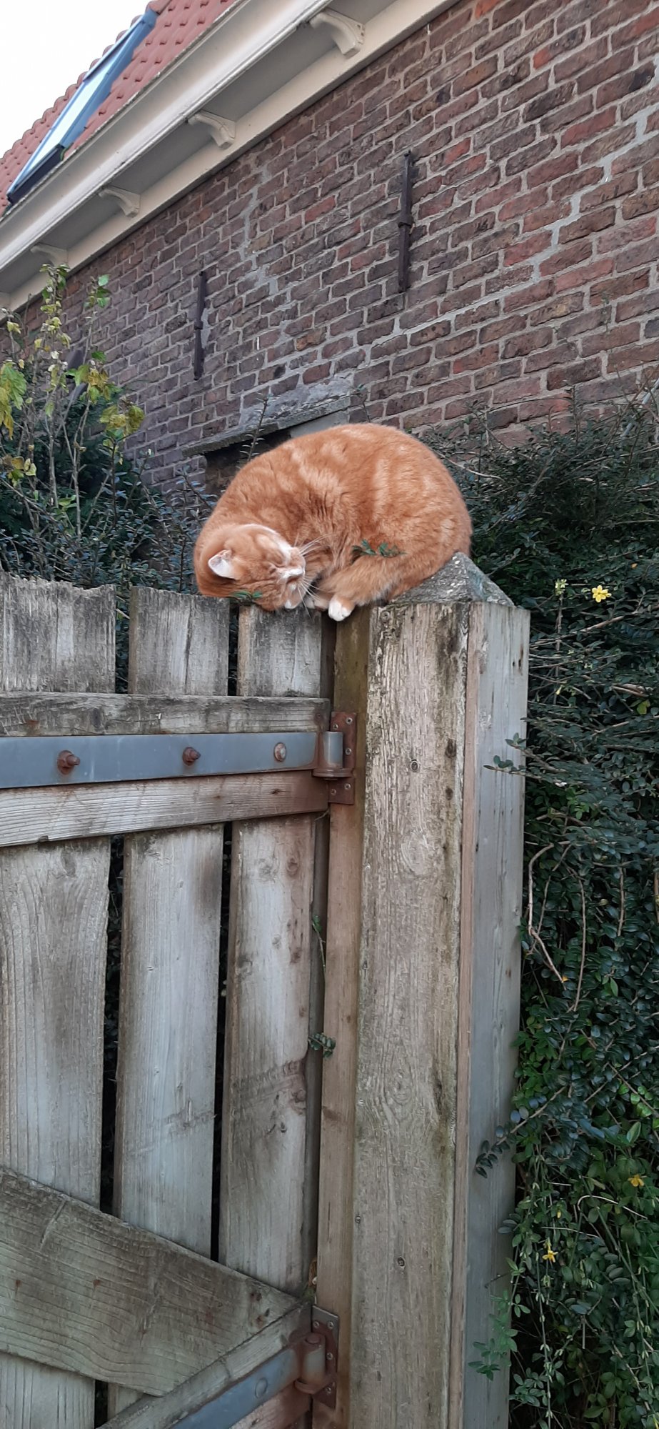 20201105_160331.jpg
