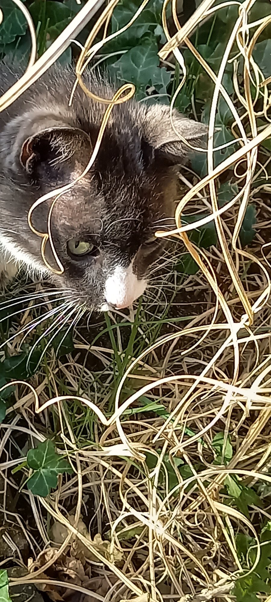 20210331_175740.jpg