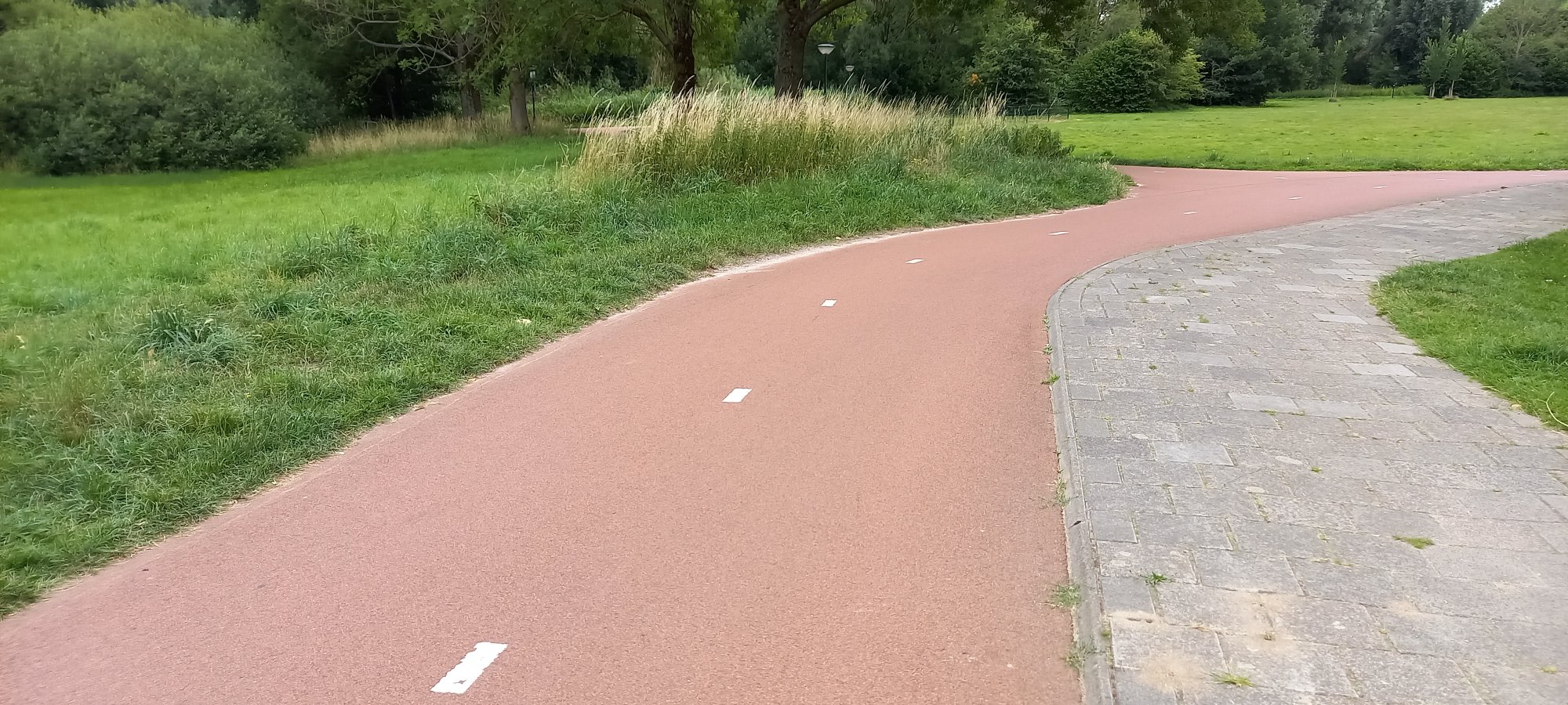 20220706_121832.jpg