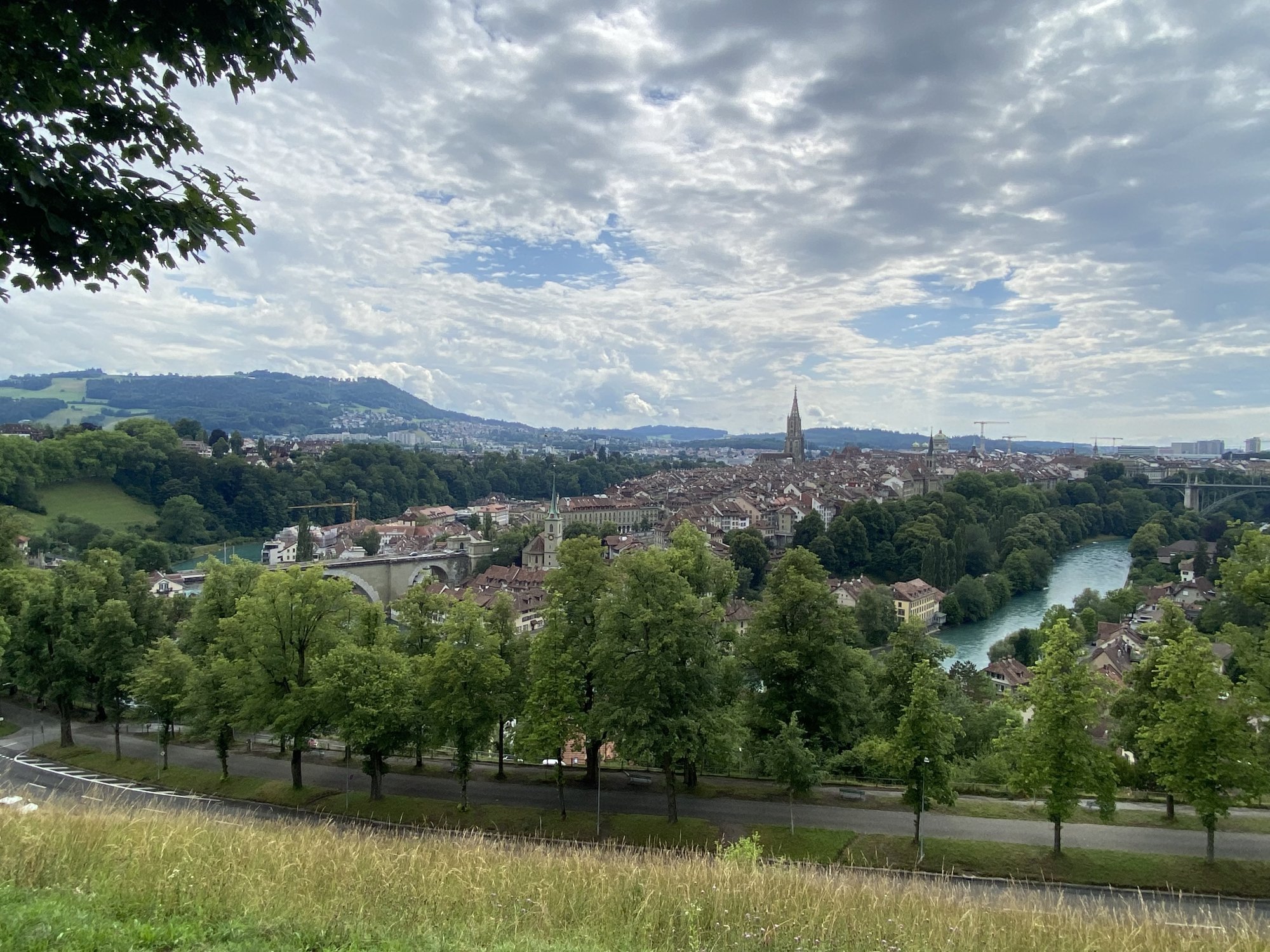 226E3EE4-B08A-4520-8D82-156B2C0D19D3.jpeg