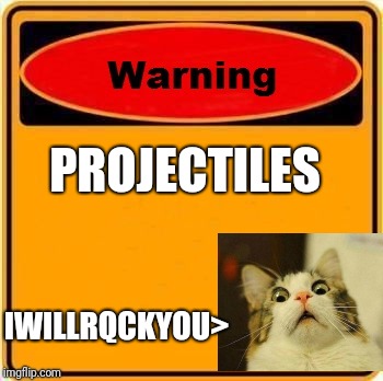 29zt9y.jpg