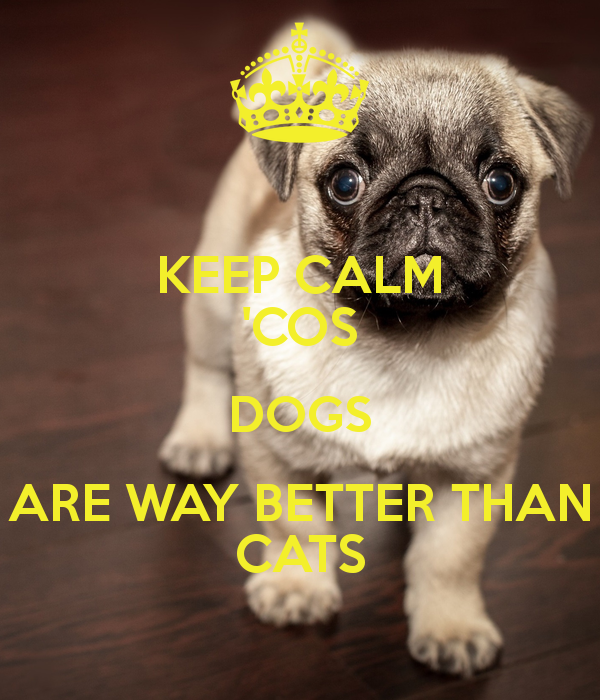 2D10873F-937B-4C8A-B2C1-A4C721E4D54A.png