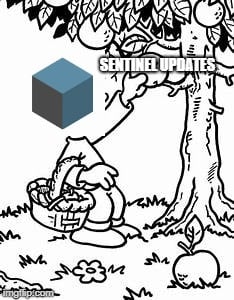 2gki60.jpg