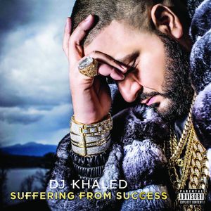 300px-Suffering_from_Success_light.jpg