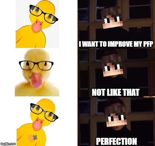 3o5qol.jpg