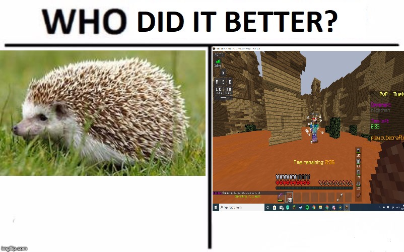 3q2dqm.jpg