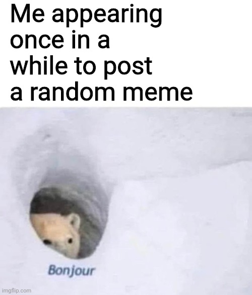 48rd2b.jpg