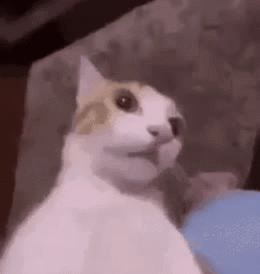 4fe008e3993dc13bd310ad8225c2fcf0.gif