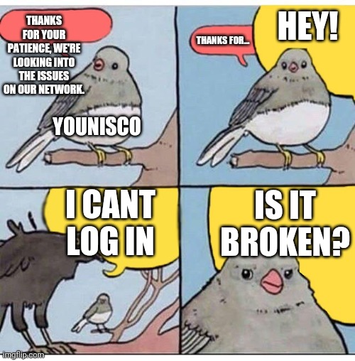 54244m.jpg