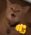 687070898620203074.png