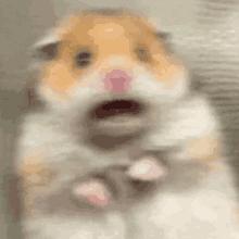 71d.gif