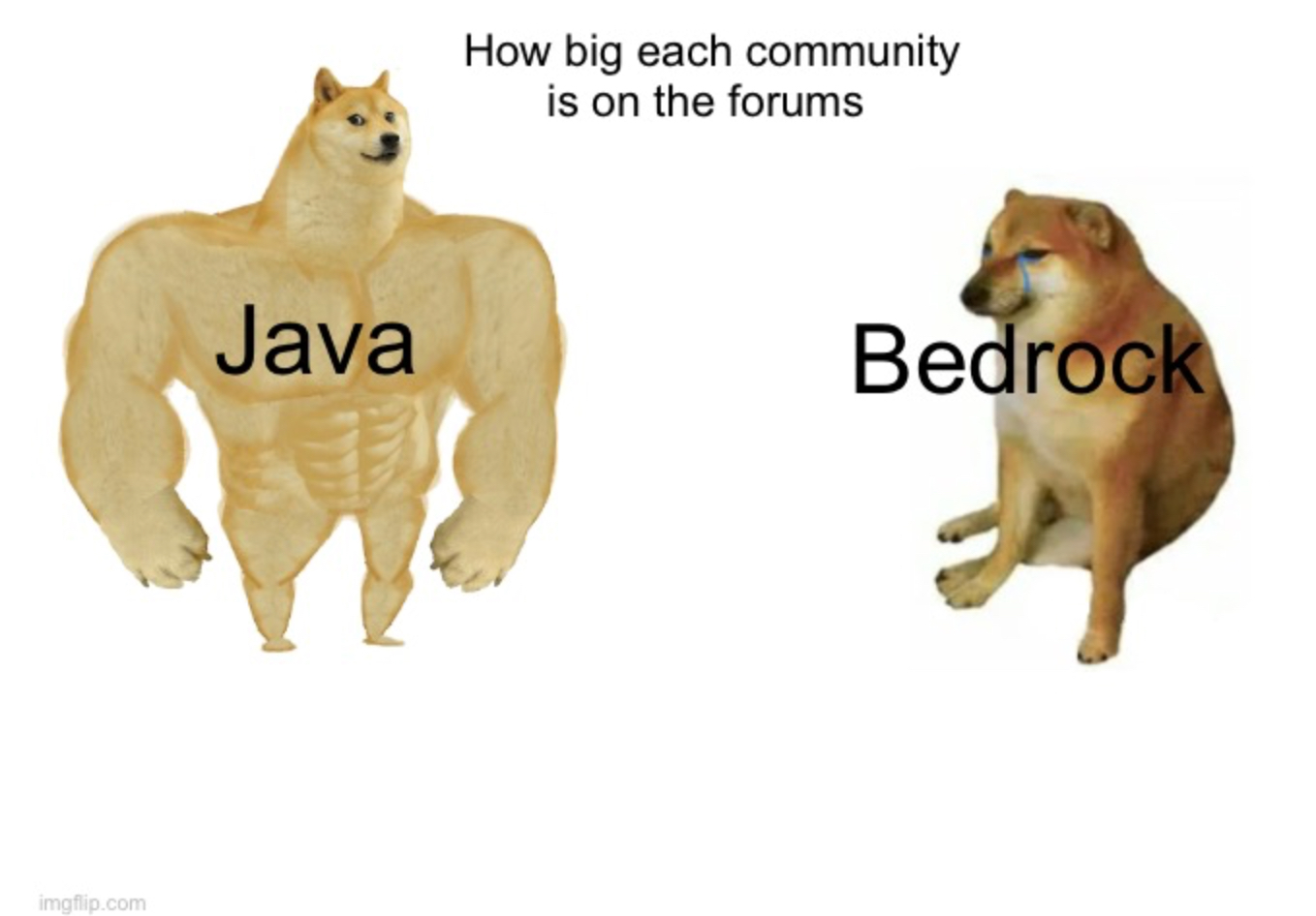 757F2ACA-5EBA-4487-B39B-863E900D9EC5.jpeg