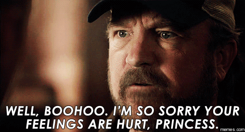 a321083c814c3cf4ba7b321edad86bba_well-boohoo-boo-hoo-memes_500-269.gif