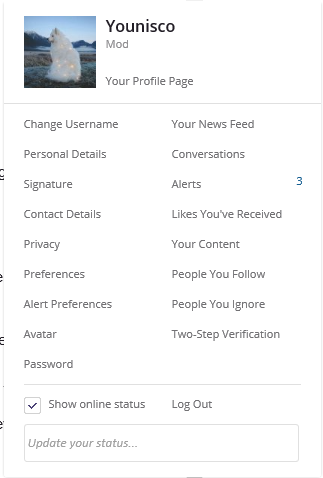 account customisation overview.png